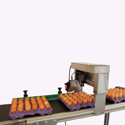 En uygun EP-121 Yumurta Kodlama Makinesi hemen satın al!